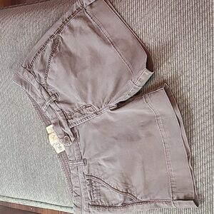 BKE Embroidered Shorts